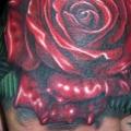 Realistic Flower Hand Rose tattoo by Tim Kerr