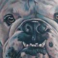 Realistische Hund tattoo von Heather Maranda