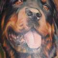 tatuaje Hombro Realista Perro por Heather Maranda