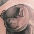 Arm Fantasy Pig tattoo by Border Line Tattoos