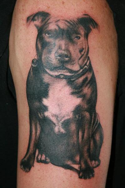 Arm Realistische Hund Tattoo von Border Line Tattoos