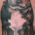 Arm Realistische Hund tattoo von Border Line Tattoos