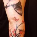 Arm Realistic Bird tattoo by Madame Chän