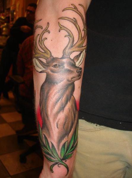 Tatuaggio Braccio Realistici Cervo di Pioneer Tattoo