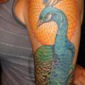 Arm Realistic Peacock tattoo by Pioneer Tattoo