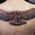 tatuaje Realista Espalda Águila por Alans Tattoo Studio