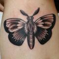 Old School Leg Moth tattoo by Alans Tattoo Studio