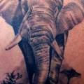 tatuaje Hombro Realista Elefante por Alans Tattoo Studio