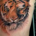 tatuaggio Realistici Tigre Coscia di Alans Tattoo Studio