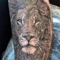 Arm Realistic Lion tattoo by Elvin Tattoo