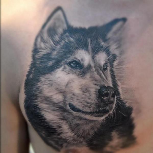 Реализм Грудь Собака татуировка от Elvin Tattoo