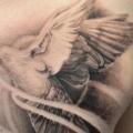 Realistic Chest Dove tattoo by Elvin Tattoo