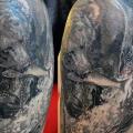 Shoulder Realistic Bear tattoo by Elvin Tattoo