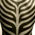 Rücken Tribal tattoo von Apocaript