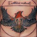 tatuaje Vientre Pájaro por Dark Art Tattoo