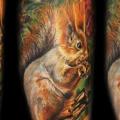 Realistic Calf Squirrel tattoo by Ivan Yug