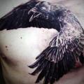 Realistic Chest Crow tattoo by Ivan Yug