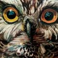 Realistic Owl tattoo by Ivan Yug