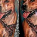 Shoulder Realistic Dog tattoo by Delirium Tattoo