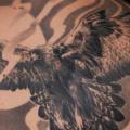 tatuaggio Realistici Schiena Aquila di Heidi Hay Tattoo