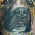 Arm Realistische Hund tattoo von Dzy Tattoo