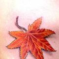 Realistic Breast Leaf tattoo by Dzy Tattoo