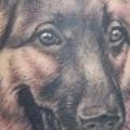Arm Realistische Hund tattoo von Elektrisk Tatovering