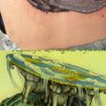 tatuaje Fantasy Espalda Tortuga por Elektrisk Tatovering