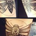Arm Dotwork Moth tattoo by World's End Tattoo