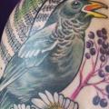 Schulter Realistische Vogel tattoo von Jessica Mach