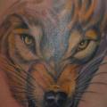 Shoulder Realistic Wolf tattoo by Csaba Kiss