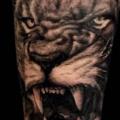 Arm Realistic Lion tattoo by Blue Lotus