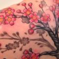Schulter Blumen Kirsche tattoo von Q Tattoo