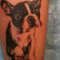 Arm Realistische Hund tattoo von Stay True Tattoo