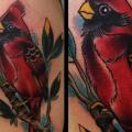 Schulter Realistische Papagei tattoo von Art Junkies Tattoos