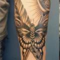 Arm Schmetterling Dotwork tattoo von Evil From The Needle