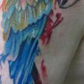 tatuaggio Spalla Realistici Pappagallo di Evil From The Needle