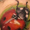 Realistische Marienkäfer tattoo von Evil From The Needle