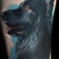 Arm Realistische Hund tattoo von Andres Acosta