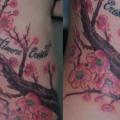 tatuaggio Realistici Fianco Scritte Ciliegie Albero di Silvercrane Tattoo