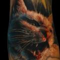 tatuaggio Braccio Realistici Gatto di Piranha Tattoo Supplies
