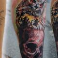 Arm Realistische Totenkopf Eulen tattoo von Piranha Tattoo Supplies