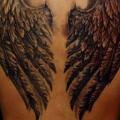Fantasie Rücken Flügel tattoo von Piranha Tattoo Supplies