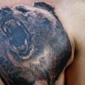 tatuaggio Realistici Petto Orso di Piranha Tattoo Supplies
