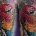 Schulter Realistische Papagei tattoo von Piranha Tattoo Supplies