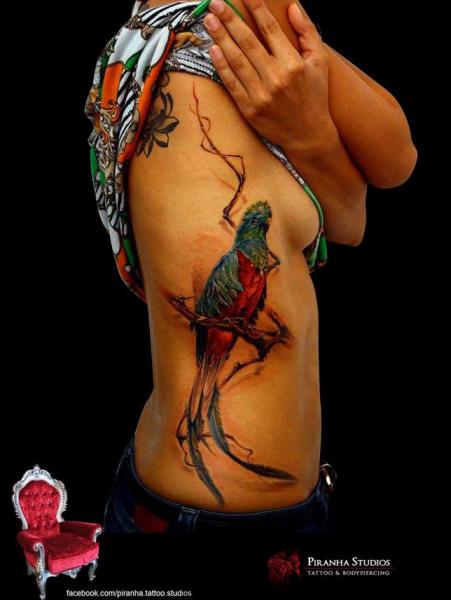 Realistic Side Bird Tattoo by Piranha Tattoo Supplies
