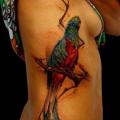 tatuaggio Realistici Fianco Uccello di Piranha Tattoo Supplies