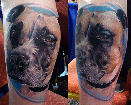 Arm Realistic Dog Tattoo by Vince Villalvazo