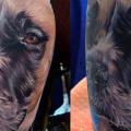 Arm Realistische Hund tattoo von Vince Villalvazo