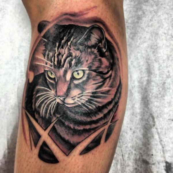 Tatuaje Brazo Realista Gato por Tantrix Body Art